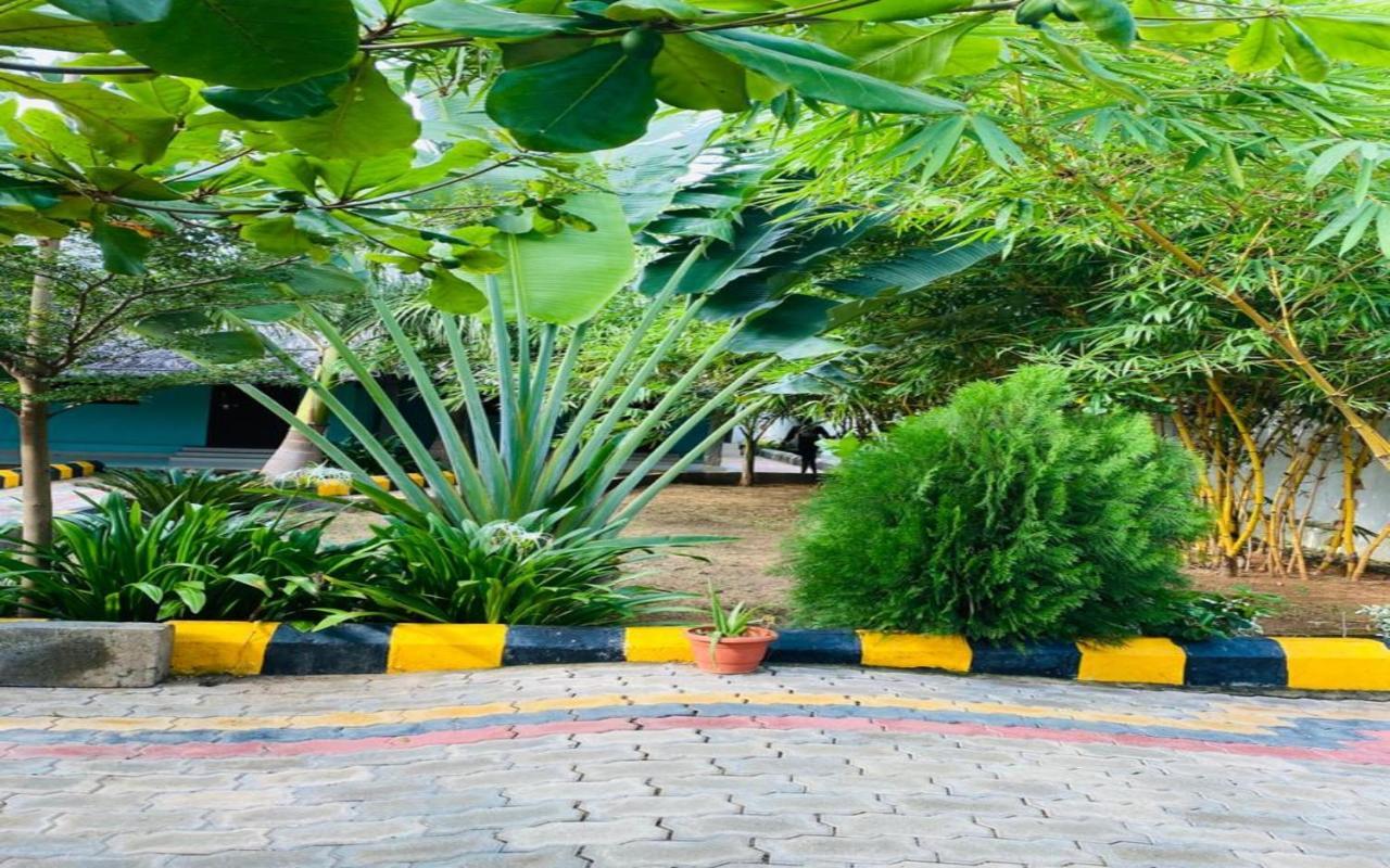 Hotel Megha Resort ฮัมปี ภายนอก รูปภาพ